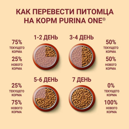 Purina ONE сухой корм для взрослых собак средних и крупных пород с ягненком и рисом - 10 кг
