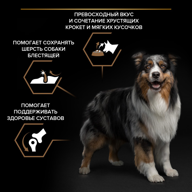 Purina Pro Plan Duo Delice сухой корм для взрослых собак средних и крупных пород с говядиной и рисом - 10 кг