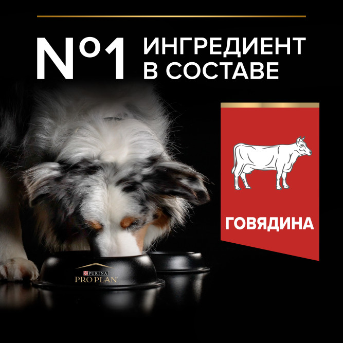 Purina Pro Plan Duo Delice сухой корм для взрослых собак средних и крупных пород с говядиной и рисом - 10 кг