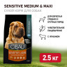 Изображение товара Farmina Cibau Sensitive Lamb Medium & Maxi сухой корм для взрослых собак с чувствительным пищеварением с ягненком - 2,5 кг