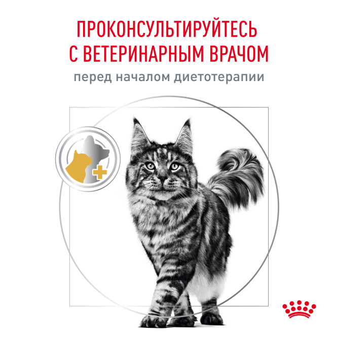 Royal Canin Urinary S/O Moderate Calorie сухой диетический корм для взрослых кошек, предрасположенных к набору веса, при мочекаменной болезни - 1,5 кг