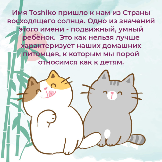 Toshiko Зеленый чай наполнитель комкующийся древесный для кошачьих туалетов - 7,6 кг (20 л)