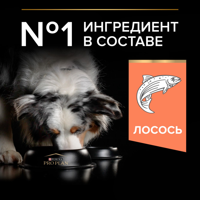 Pro Plan Medium &amp; Large Athletic Sensitive Skin 7+ сухой корм для взрослых собак крупных пород старше 7 лет с атлетическим телосложением с чувствительной кожей с лососем и рисом - 14 кг