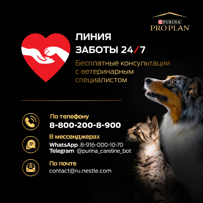 Pro Plan Medium &amp; Large Athletic Sensitive Skin 7+ сухой корм для взрослых собак крупных пород старше 7 лет с атлетическим телосложением с чувствительной кожей с лососем и рисом - 14 кг