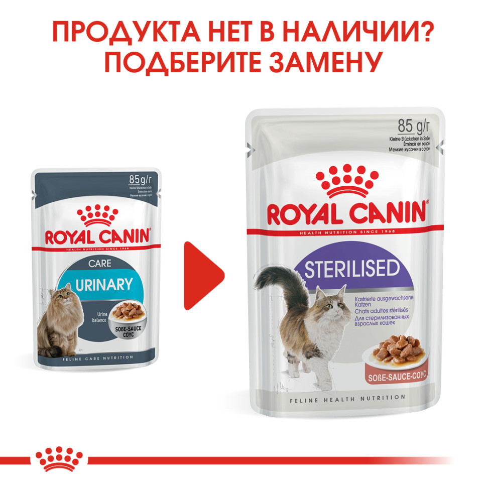 Роял Канин Уринари кэа в соусе / Royal Canin Urinary Care - 85 г - купить в  Москве | КотМатрос