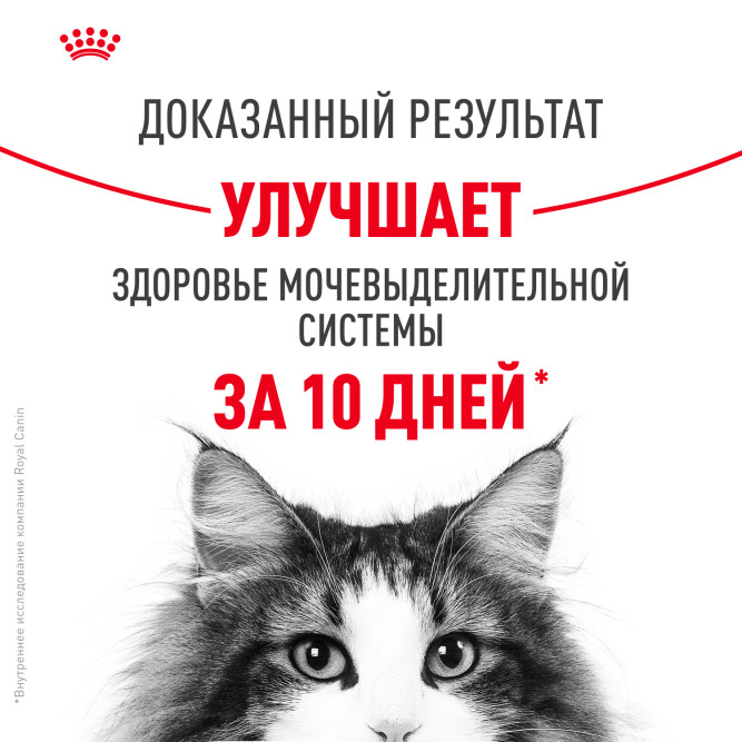 Сухой корм Royal Canin Urinary Care для взрослых кошек для профилактики мочекаменной болезни - 2 кг