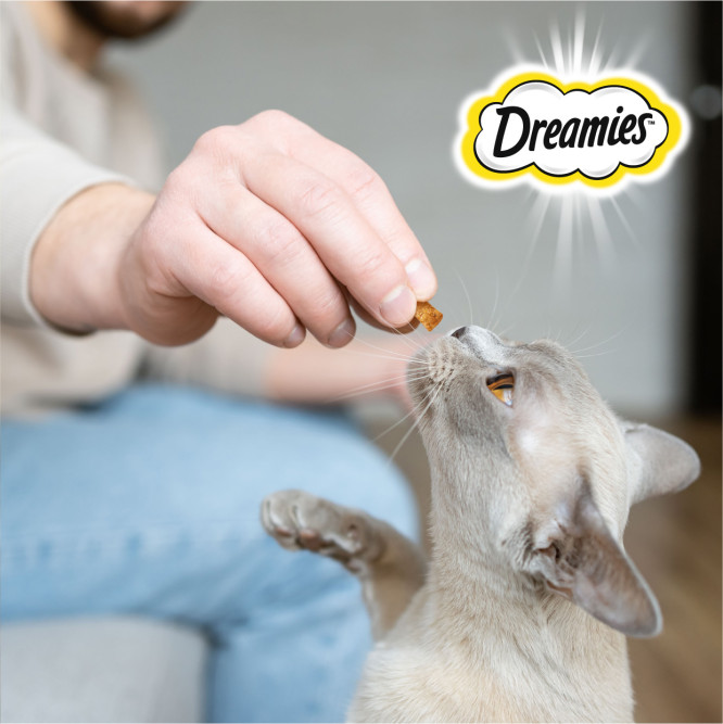 Dreamies лакомые подушечки для кошек с сыром - 60 г