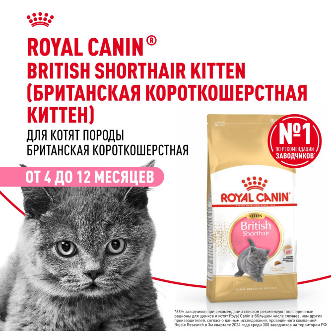 Royal Canin Kitten British Shorthair сухой корм для котят породы британская гладкошерстная - 10 кг