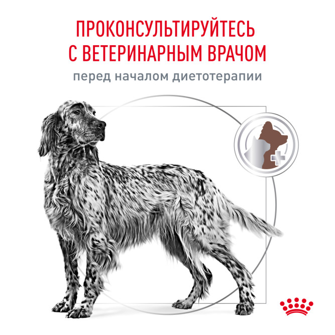 Royal Canin Gastrointestinal Low Fat LF22 сухой диетический корм для взрослых собак всех пород при нарушении пищеварения -12кг