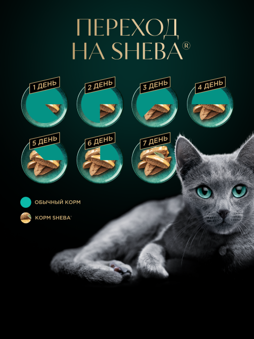 Sheba влажный корм для кошек нежный паштет с курицей, в желе, в паучах - 75 г х 28 шт