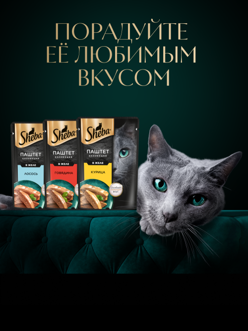 Sheba влажный корм для кошек нежный паштет с курицей, в желе, в паучах - 75 г х 28 шт