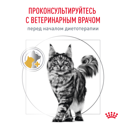 Сухой корм Royal Canin Urinary S/O LP34 для кошек при лечении и профилактике мочекаменной болезни - 400 г