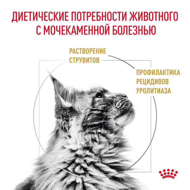 Royal Canin Urinary S/O сухой корм для взрослых кошек при мочекаменной болезни - 400 г