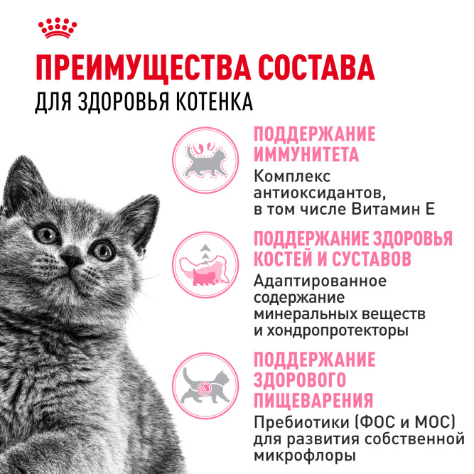 Royal Canin Kitten British Shorthair сухой корм для котят породы британская гладкошерстная - 400 г