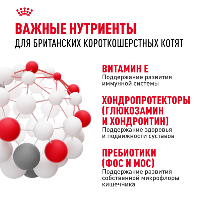 Royal Canin Kitten British Shorthair сухой корм для котят породы британская гладкошерстная - 400 г