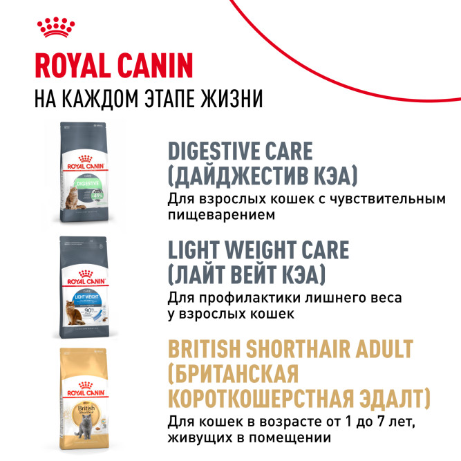 Royal Canin Kitten British Shorthair сухой корм для котят породы британская гладкошерстная - 400 г