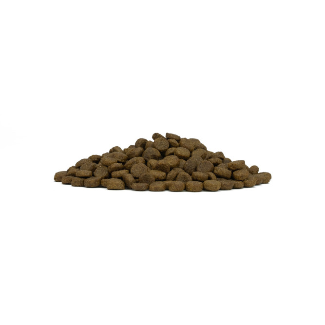 Forza10 Maintenance Dog Adult Small/Medium сухой корм для взрослых собак мелких пород из ягненка с рисом - 2 кг