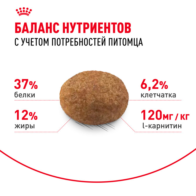 Royal Canin Sterilised 37 сухой корм для взрослых стерилизованных кошек - 1,2 кг