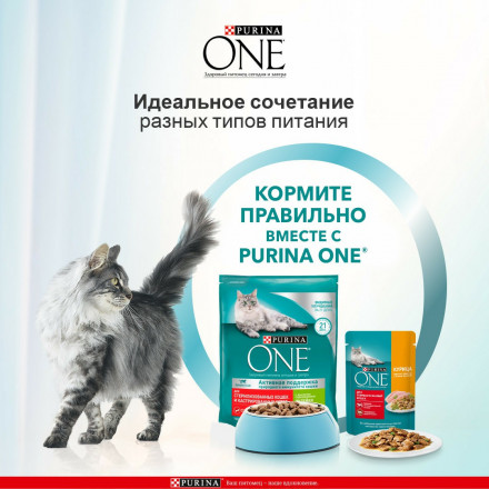 Purina One Sterilized сухой корм для кастрированных и стерилизованных кошек с индейкой - 750 г