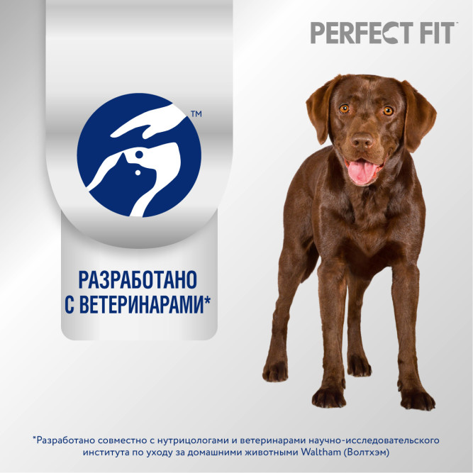 Perfect Fit сухой корм для собак средних и крупных пород с курицей - 2,6 кг