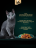 Sheba влажный корм для кошек ломтики с курицей, в желе, в паучах - 75 г х 28 шт
