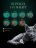 Sheba влажный корм для кошек ломтики с курицей, в желе, в паучах - 75 г х 28 шт