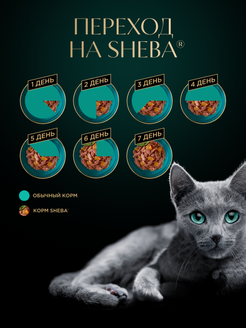 Sheba влажный корм для кошек ломтики с курицей, в желе, в паучах - 75 г х 28 шт