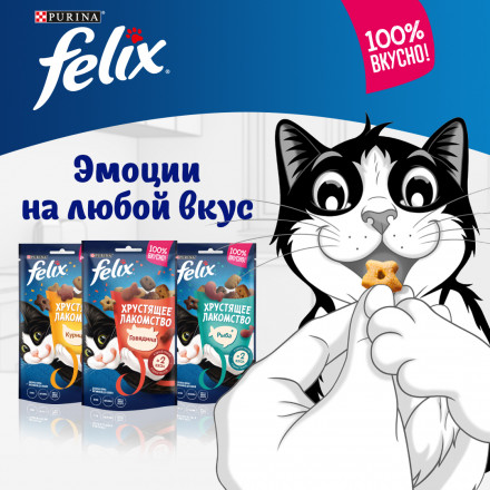 Felix Хрустящее лакомство для кошек с говядиной - 60 г