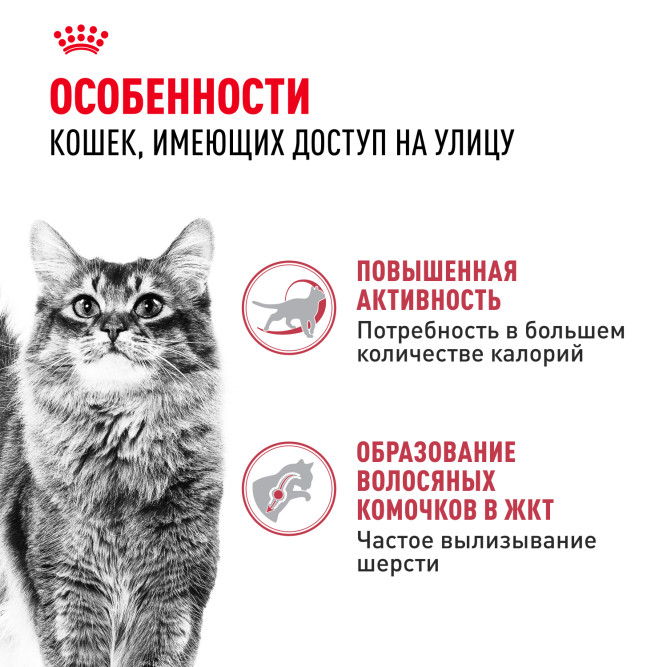 Royal Canin Fit 32 сухой корм для кошек бывающих на улице - 4кг