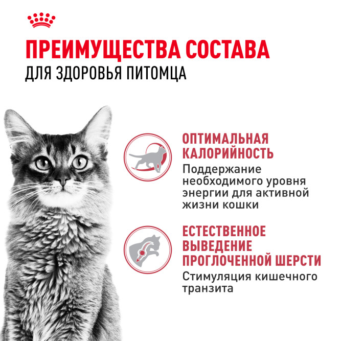 Royal Canin Fit 32 сухой корм для кошек бывающих на улице - 4кг