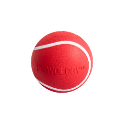 Playology SQUEAKY CHEW BALL жевательный мяч для собак средних и крупных пород с пищалкой и с ароматом говядины, 8 см, красный