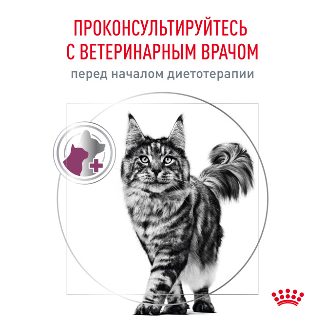 Royal Canin Renal With Fish влажный корм для взрослых кошек для поддержания функции почек с рыбой в соусе, в паучах - 85 г х 28 шт