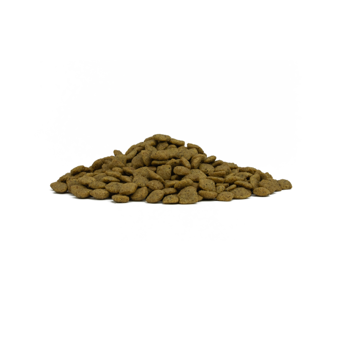 Forza10 Active Dog Adult Gastroenteric Low Fat сухой корм для взрослых собак при острых проблемах желудочно-кишечного тракта - 4 кг