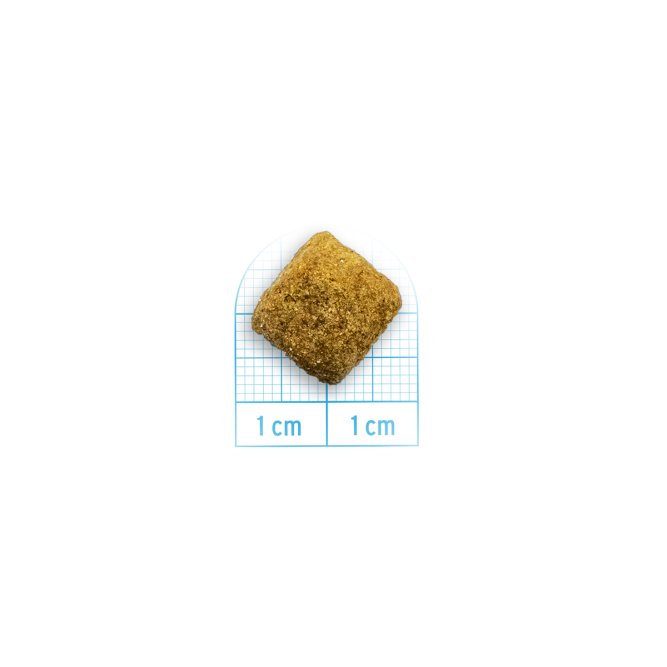 Forza10 Active Dog Adult Gastroenteric Low Fat сухой корм для взрослых собак при острых проблемах желудочно-кишечного тракта - 4 кг