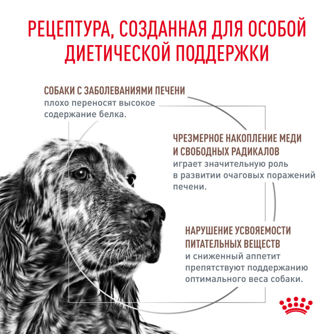 Royal Canin Hepatic HF16 сухой корм для взрослых собак всех пород при заболеваниях печени -12кг
