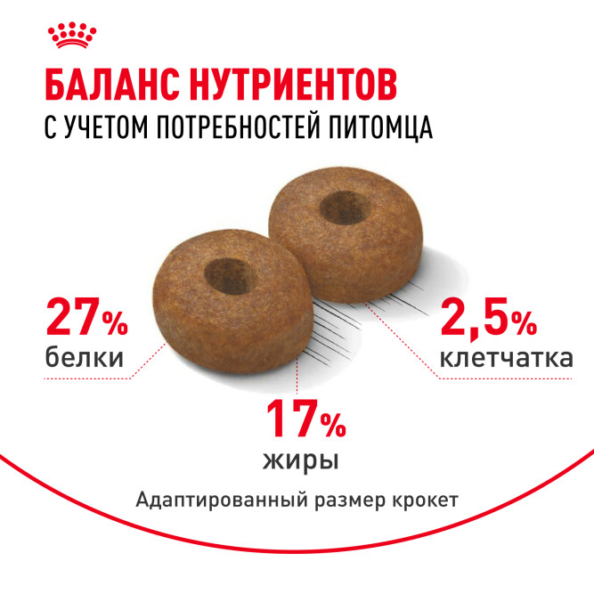 Royal Canin Maxi Ageing 8+ сухой корм для стареющих собак крупных пород старше 8 лет - 15 кг