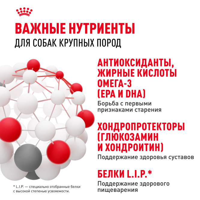 Royal Canin Maxi Ageing 8+ сухой корм для стареющих собак крупных пород старше 8 лет - 15 кг