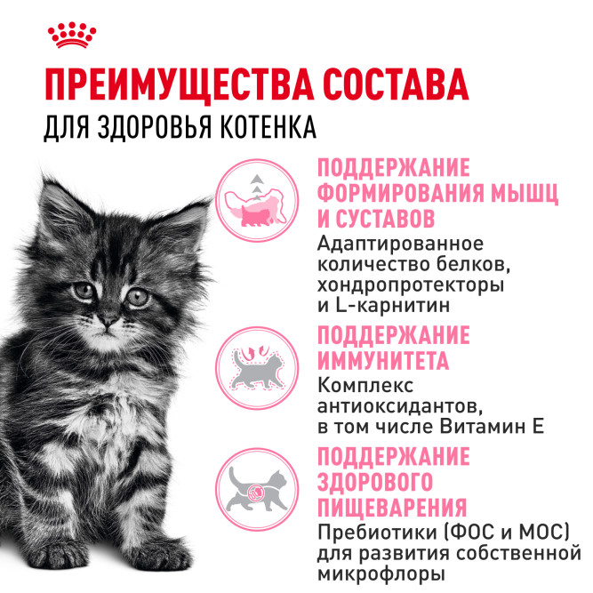 Royal Canin Kitten Maine Coon для котят породы Мэйн Кун от 4 до 15 месяцев - 4 кг