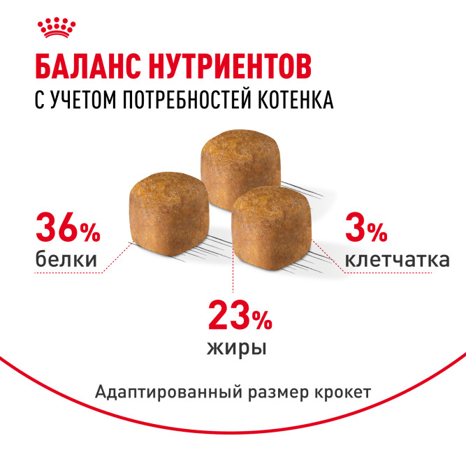 Royal Canin Kitten Maine Coon для котят породы Мэйн Кун от 4 до 15 месяцев - 4 кг