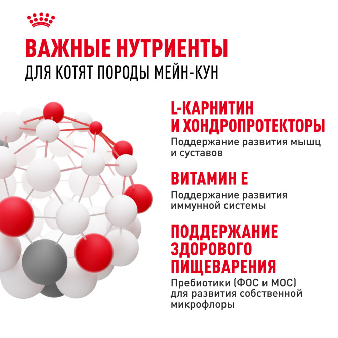 Royal Canin Kitten Maine Coon для котят породы Мэйн Кун от 4 до 15 месяцев - 4 кг