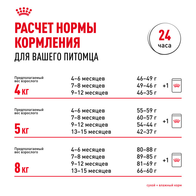 Royal Canin Kitten Maine Coon для котят породы Мэйн Кун от 4 до 15 месяцев - 4 кг