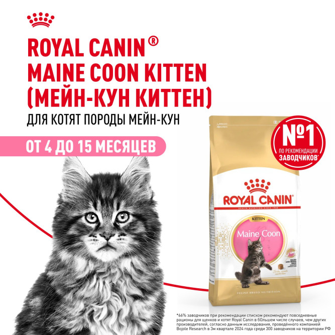 Royal Canin Kitten Maine Coon для котят породы Мэйн Кун от 4 до 15 месяцев - 4 кг
