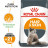 Royal Canin Hair &amp; Skin Care для кошек с проблемной шерстью и чувствительной кожей - 2кг