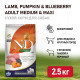 Farmina N&D Pumpkin Dog Grain Free Lamb & Blueberry Adult Medium & Maxi сухой беззерновой корм для взрослых собак средних и крупных пород с ягненком, черникой и тыквой - 2,5 кг