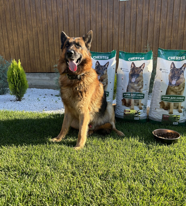 Chester Стандарт сухой корм для взрослых собак средних и крупных пород с индейкой - 14 кг