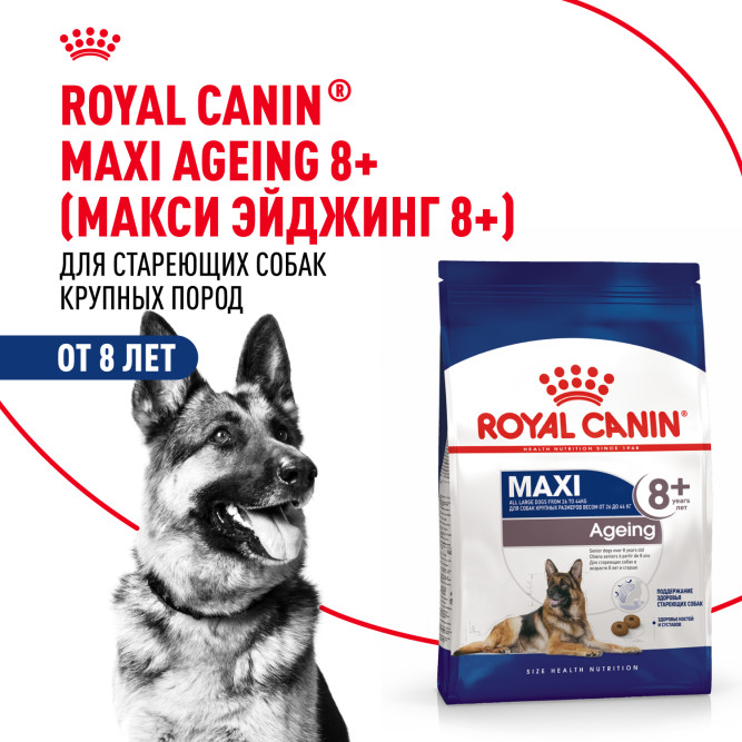 Royal Canin Maxi Ageing 8+ корм для стареющих собак крупных размеров в возрасте старше 8 лет - 3 кг