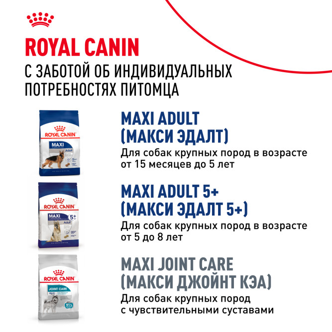 Royal Canin Maxi Ageing 8+ корм для стареющих собак крупных размеров в возрасте старше 8 лет - 3 кг