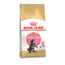 Изображение товара Royal Canin Maine Coon Kitten сухой корм для котят породы мейн - кун - 400 г