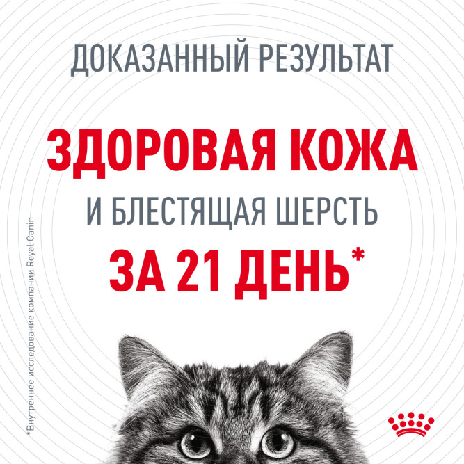 Royal Canin Hair &amp; Skin Care сухой корм для взрослых кошек с проблемной шерстью и чувствительной кожей - 400 г
