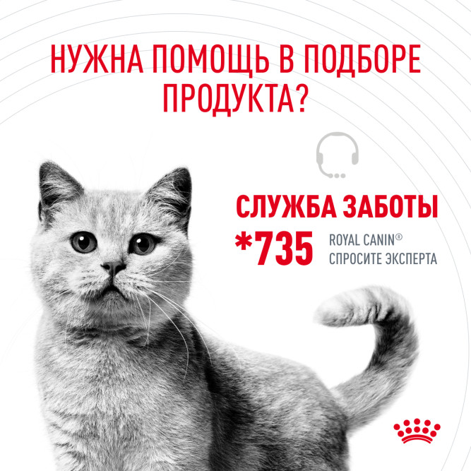 Royal Canin Hair &amp; Skin Care сухой корм для взрослых кошек с проблемной шерстью и чувствительной кожей - 400 г